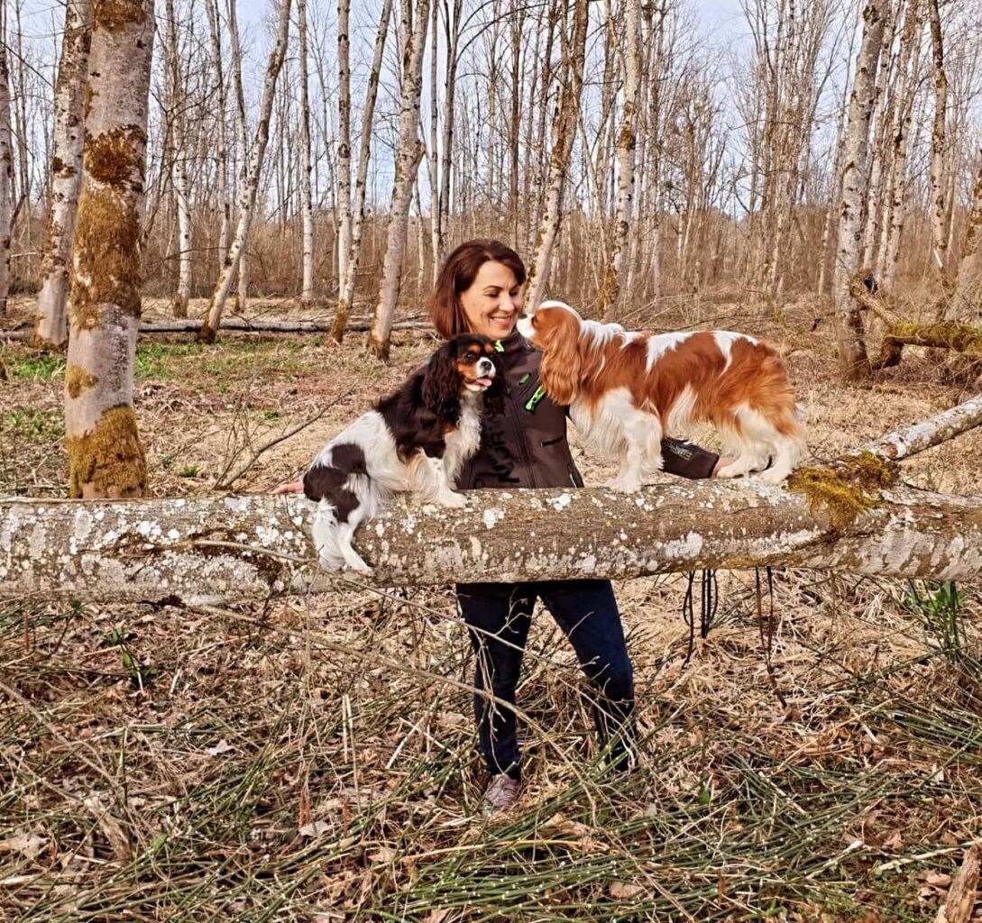 Hundetrainerin Romana Zauner mit zwei Cavalier auf einem Baumstamm im Wald während des Hundetraining