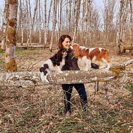 Hundetrainerin Romana Zauner mit zwei Cavalier auf einem Baumstamm im Wald während des Hundetraining